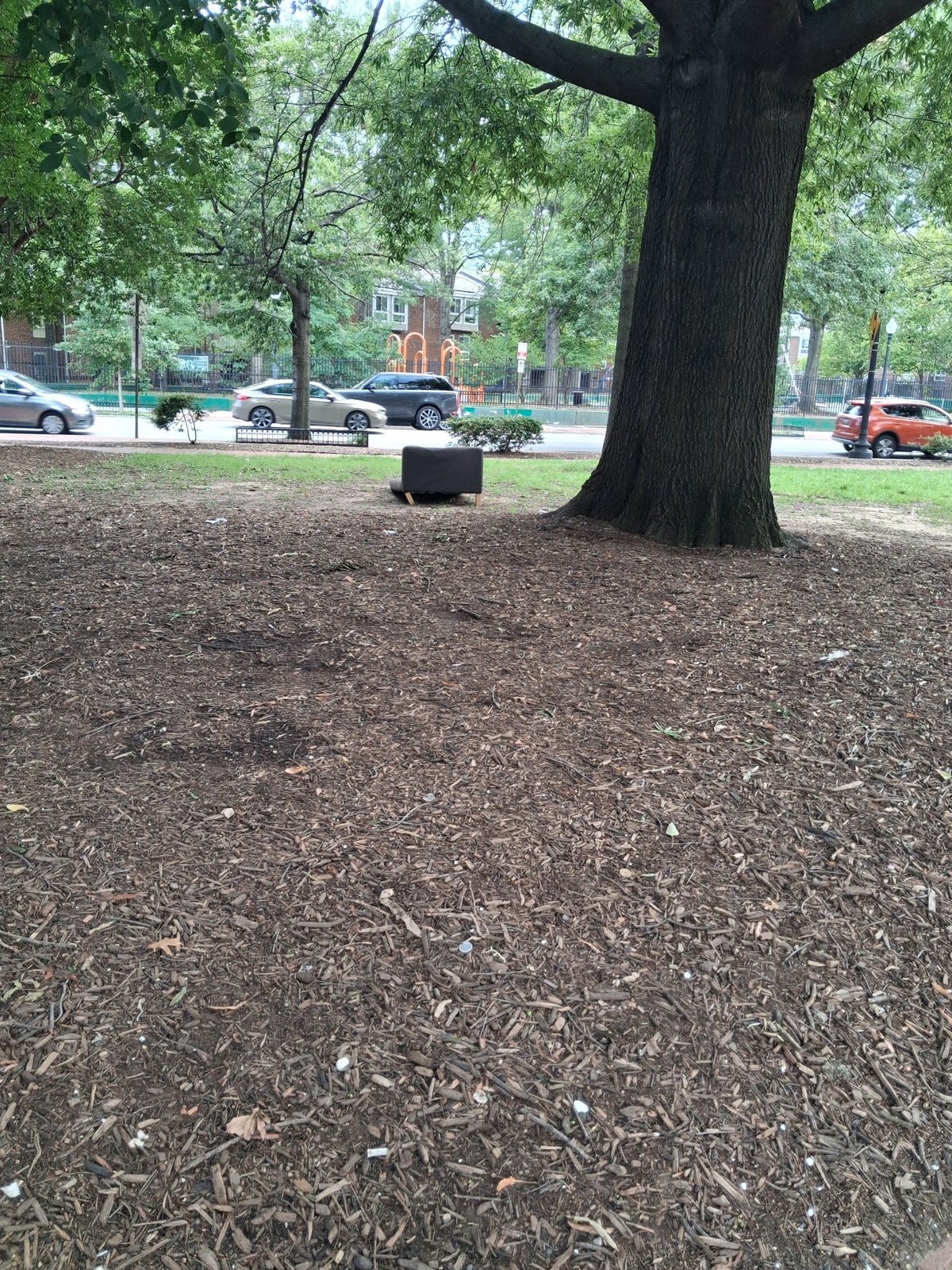Illegally dumped furniture on "Reservation" land managed by NPS as part of the National Mall and Memorial Parks in the District of Columbia. Bordered by 1st St. NW / R St. NW / Florida Ave. NW in Washington, DC. Functionally, this NPS land is a small community park popular for dog-walking in the Bloomingdale and Truxton Circle neighborhoods. On Sunday mornings, it is adjacent to the Bloomingdale Farmers Market on R Street NW. The serial lack of attention by NPS to the "Reservations" it maintains in the District of Columbia speaks to the need to end taxation without representation & admit D.C. as the 51st State.